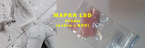 spice Верея