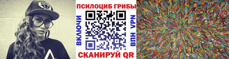 Купить  Кондопога  Галлюциногенные грибы GOLDEN TEACHER 
